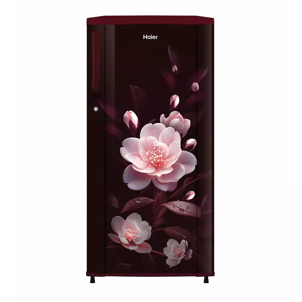 Haier Refrigerators HRD-1851SREA-P 1 Star