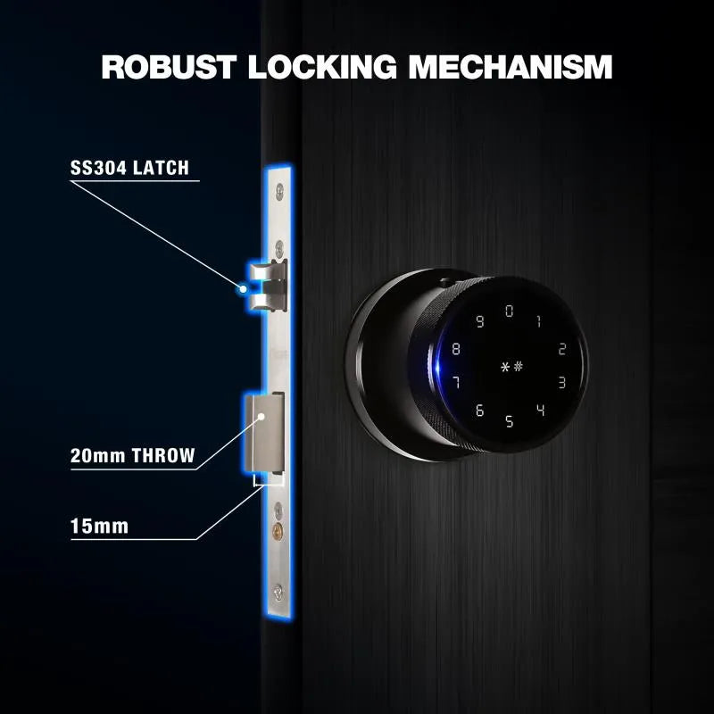 Black Smart Bluetooth Internal Lock