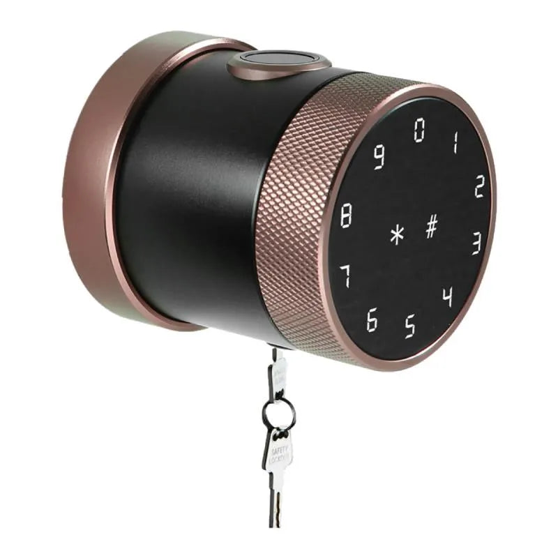 Bronze Smart Bluetooth Internal Lock