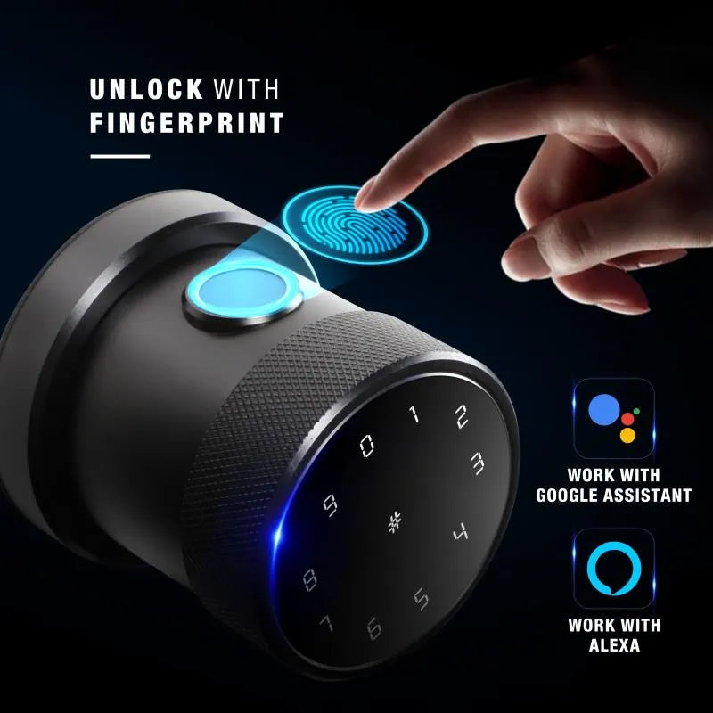 Black Smart Bluetooth Internal Lock