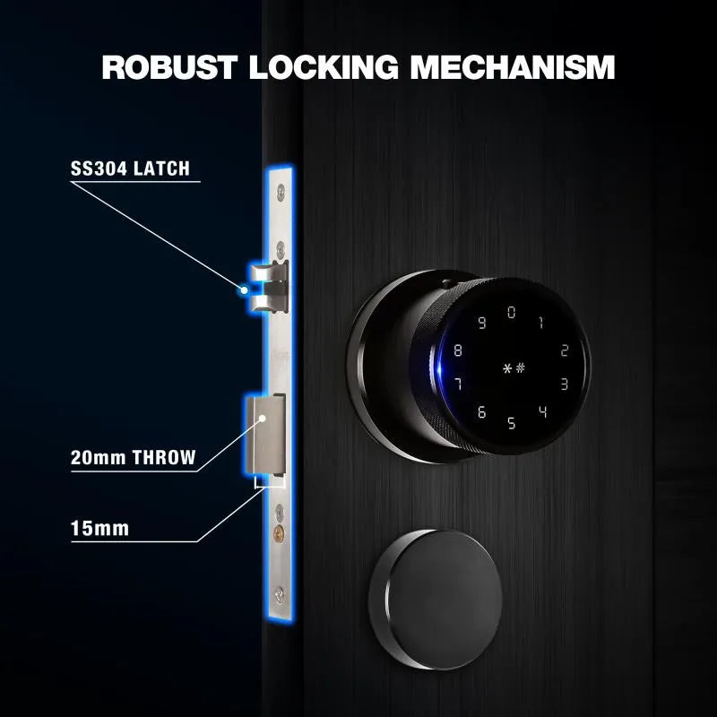 Black Smart Bluetooth Internal Lock