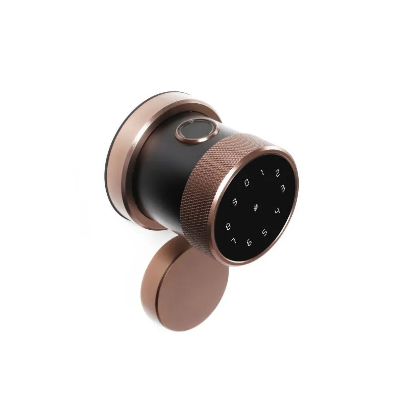Bronze Smart Bluetooth Internal Lock