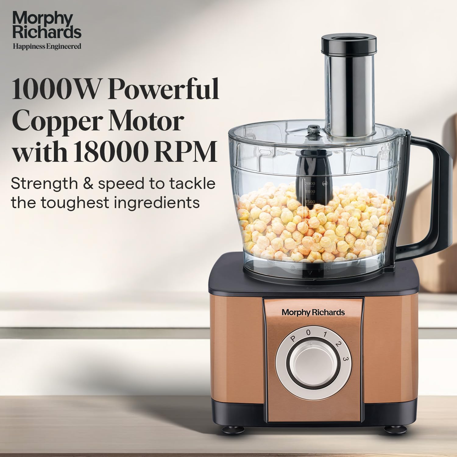 Morphy Richards Mixer Grinder