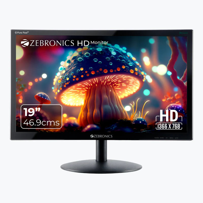 Zebronics Zebster V19HD 19 inch LED Monitor displaying vibrant mushroom graphics with HD resolution.