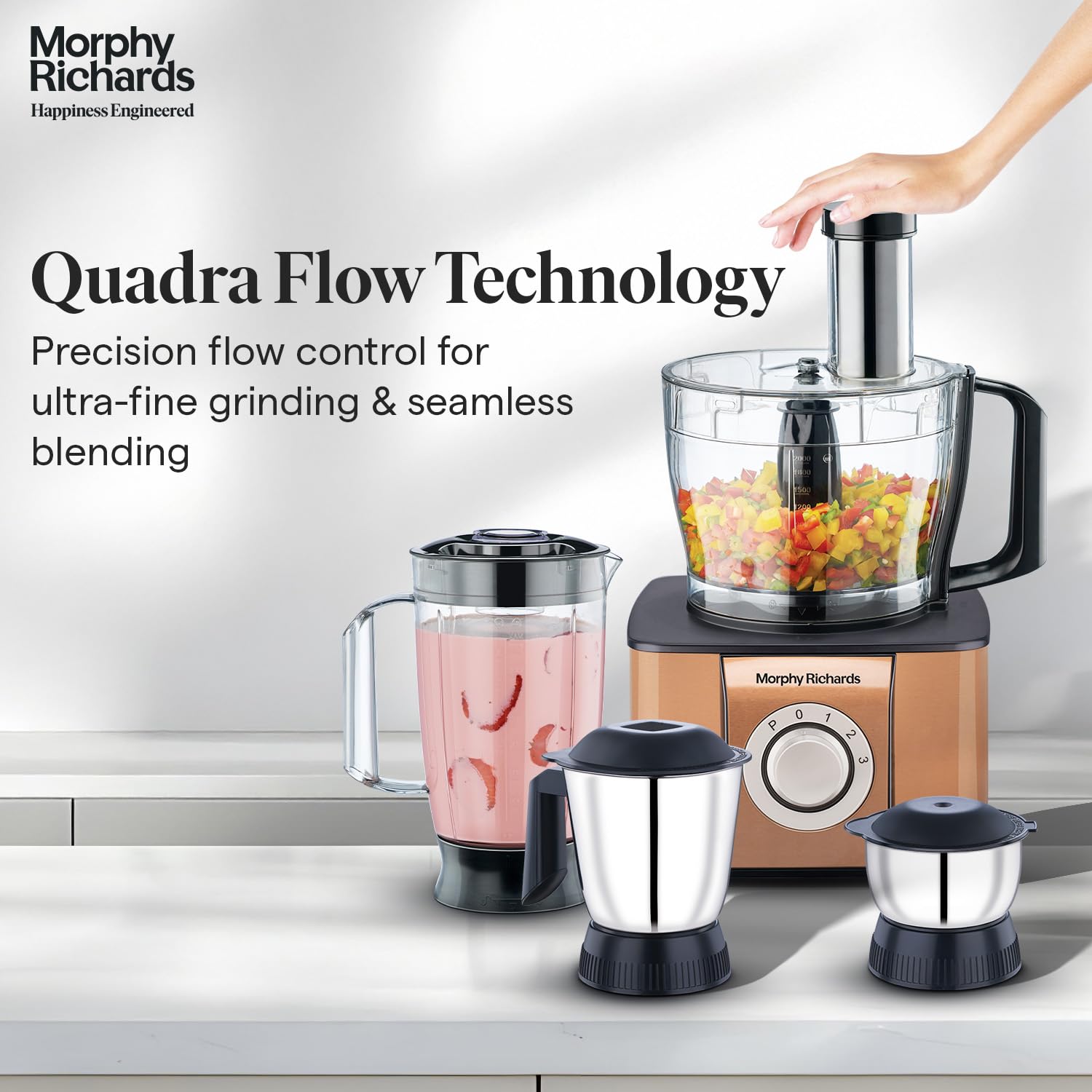 Morphy Richards Mixer Grinder