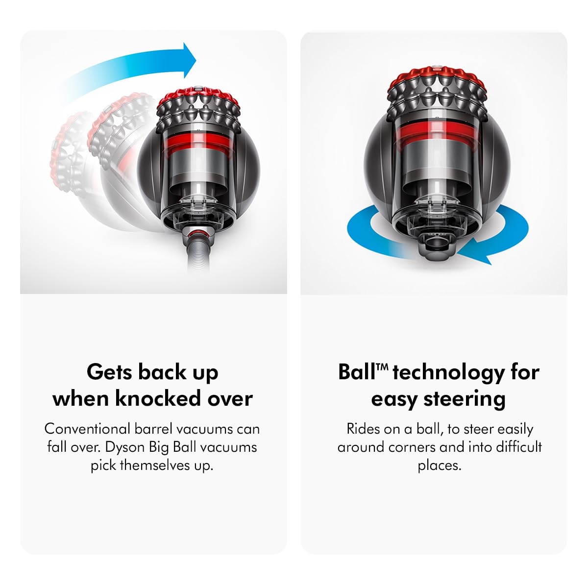 Dyson Big Ball™ vacuum