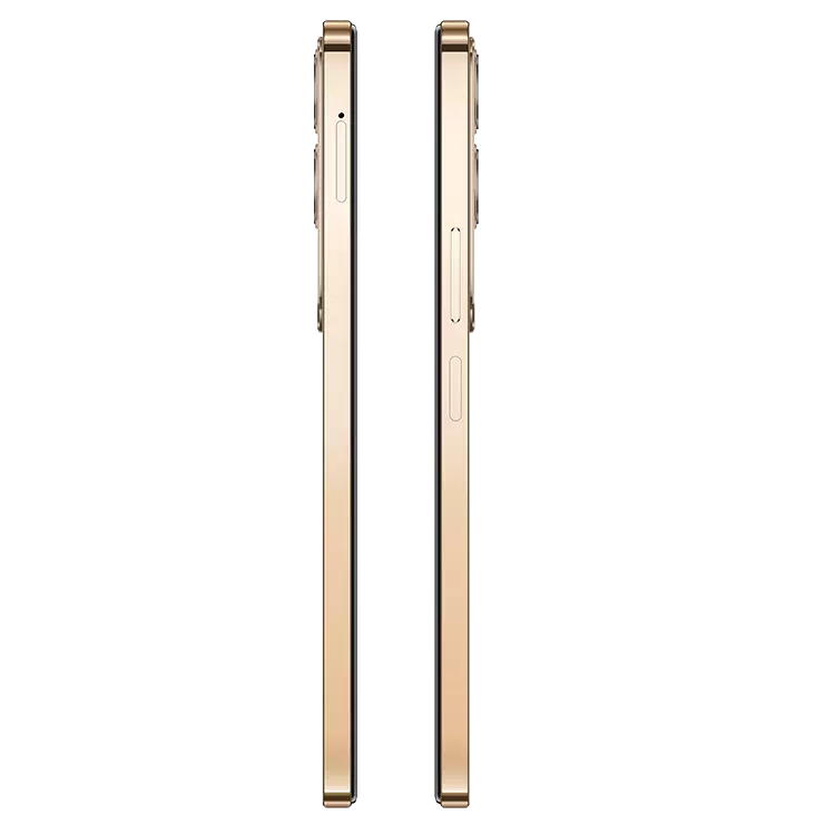 #color_Titanium Gold