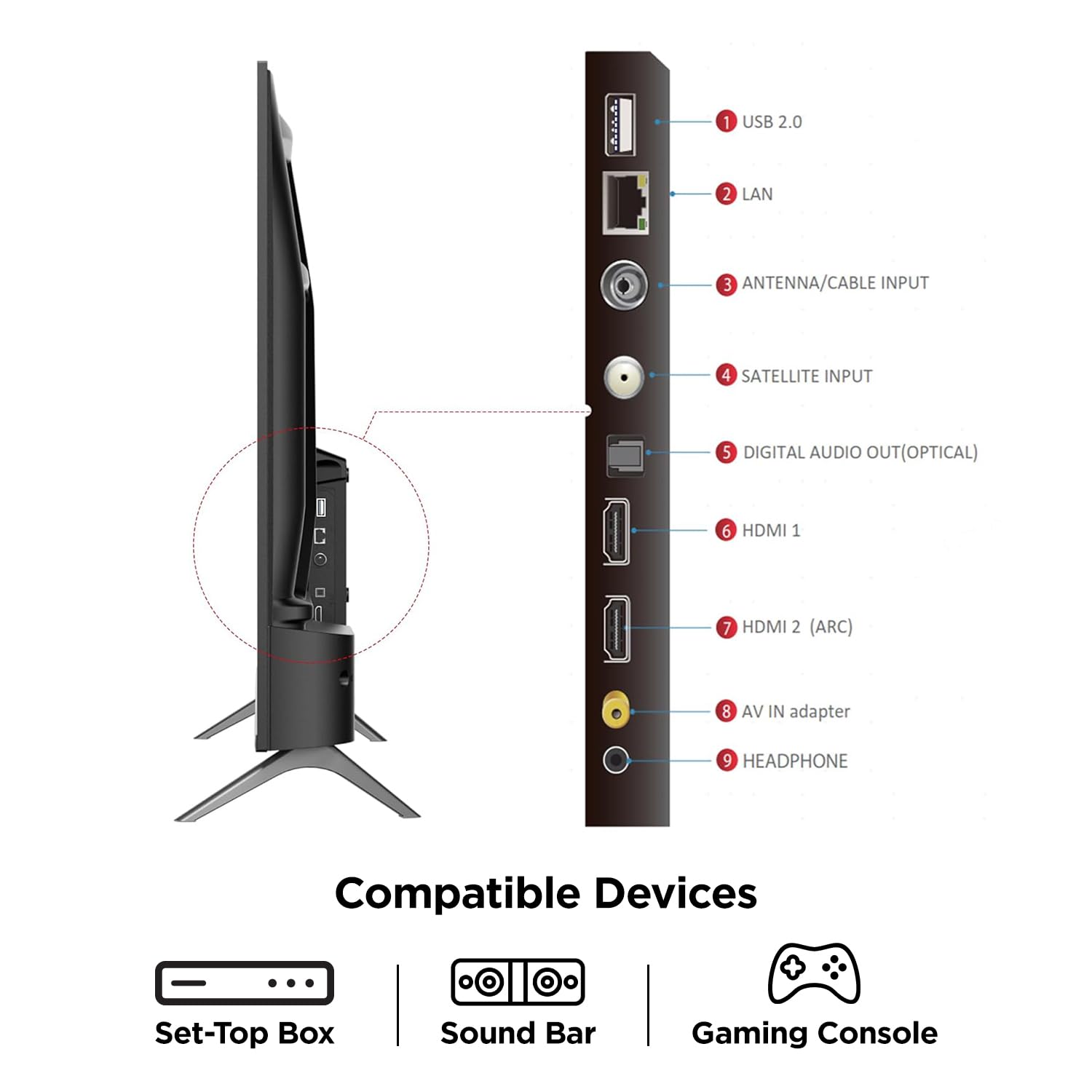 TCL TV 50 Inch S5K Full HD QLED Smart Google TV with vibrant butterfly design and smart features