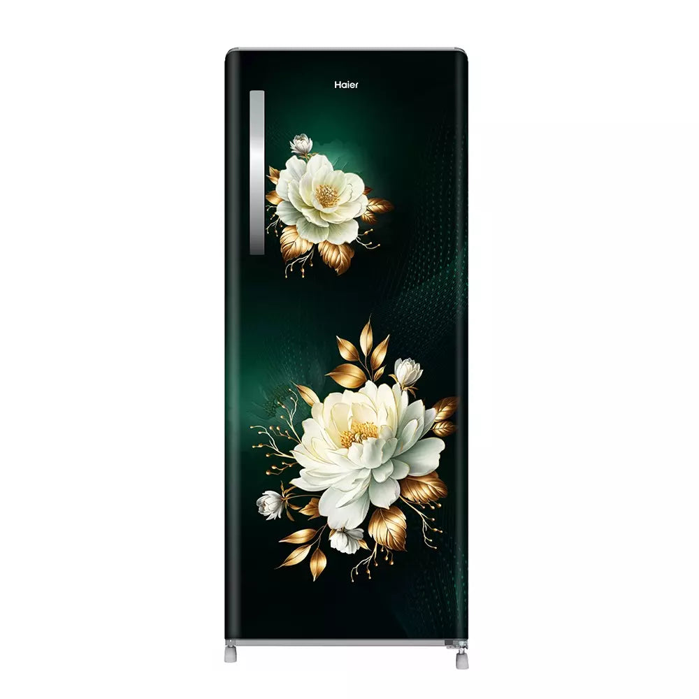 Haier Refrigerators HRD-2362CGFA-N 215L