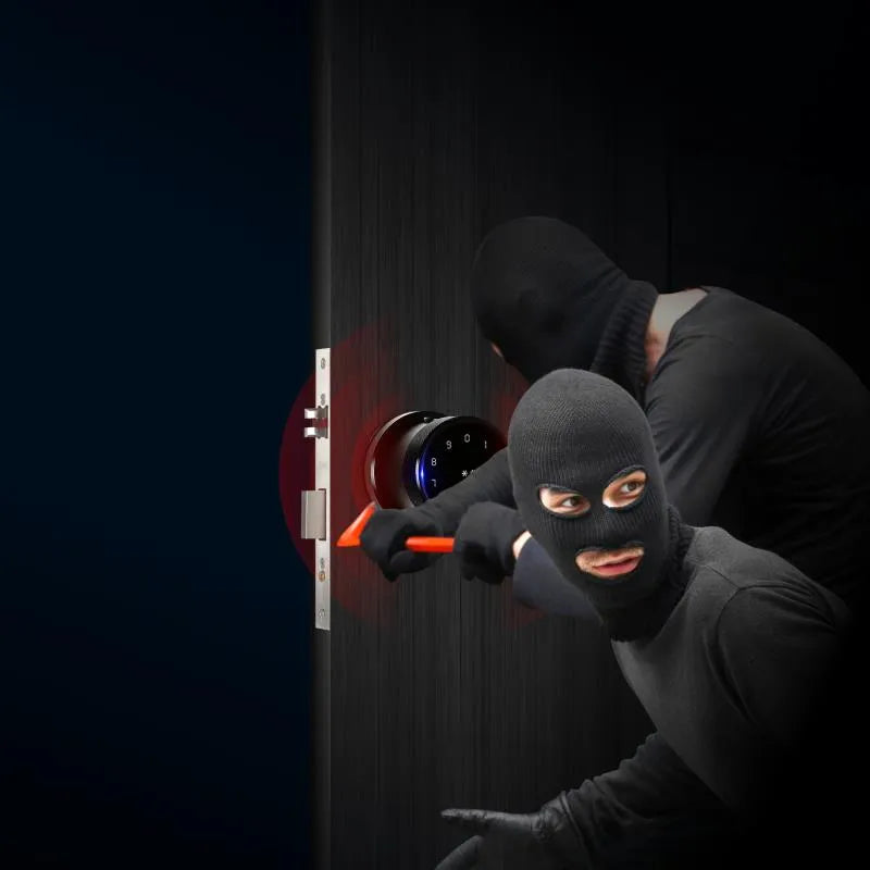 Black Smart Bluetooth Internal Lock