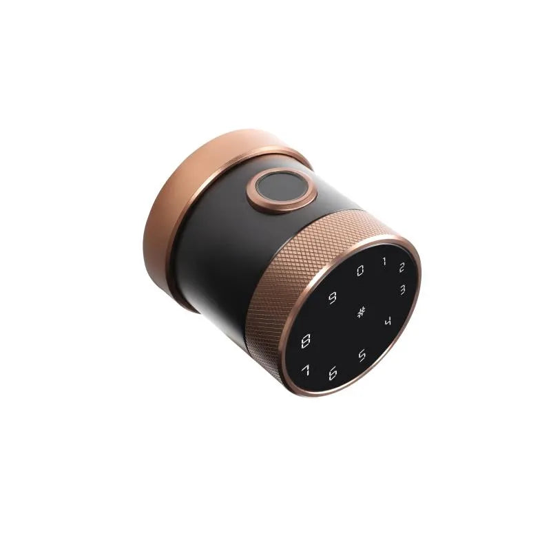 Bronze Smart Bluetooth Internal Lock