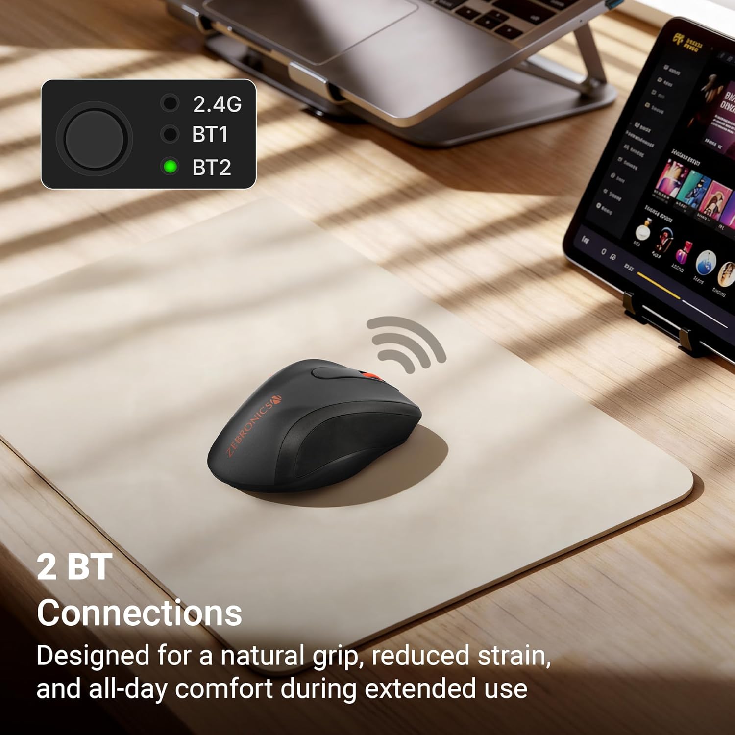 ebronics Zeb-Curve Wireless Optical Mouse with Nano Receiver