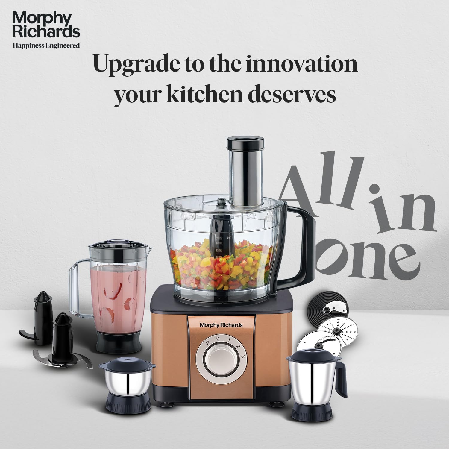 Morphy Richards Mixer Grinder 