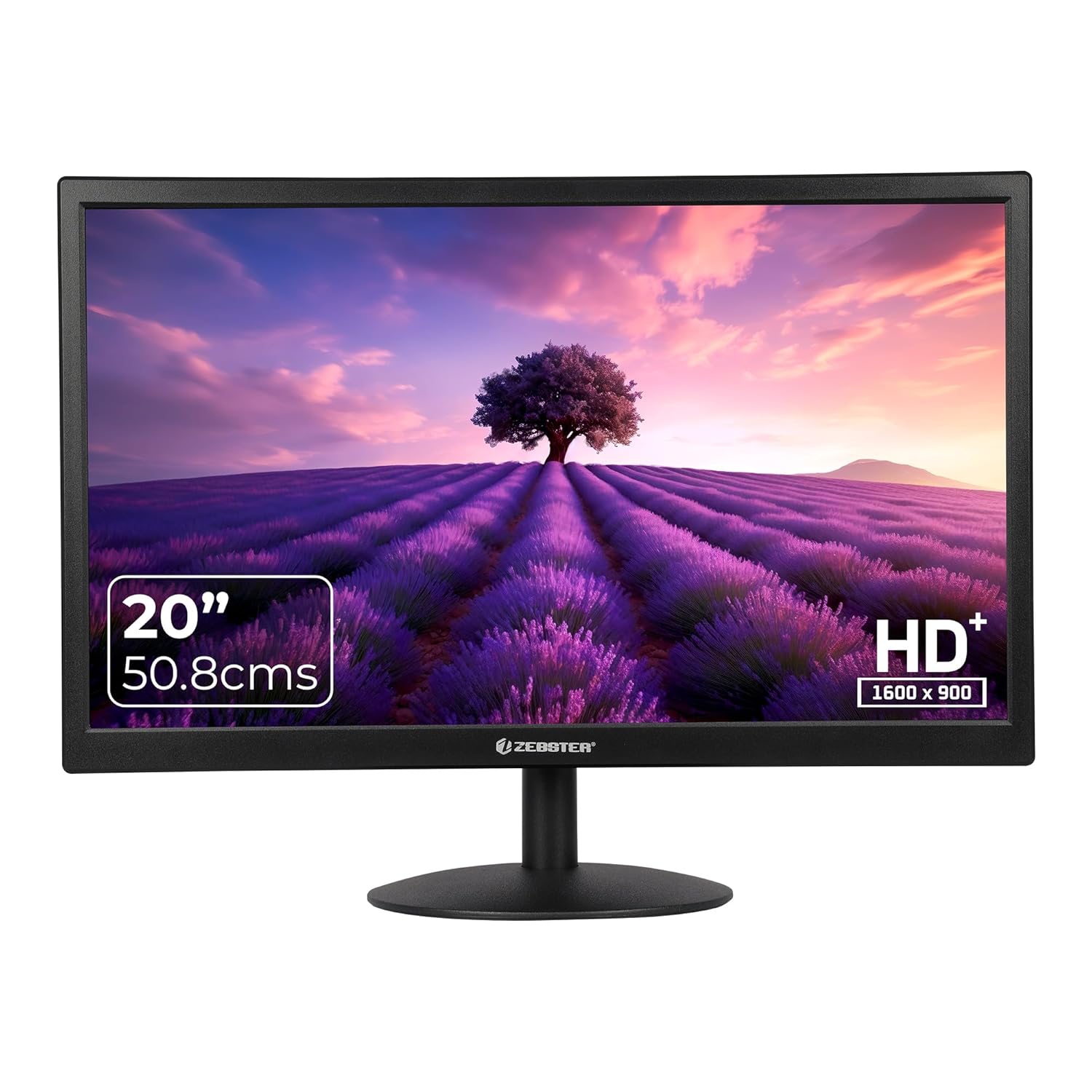 Zebronics Zebster A20HD 20 inch LED Monitor showcasing an HD+ resolution display with vibrant colors.