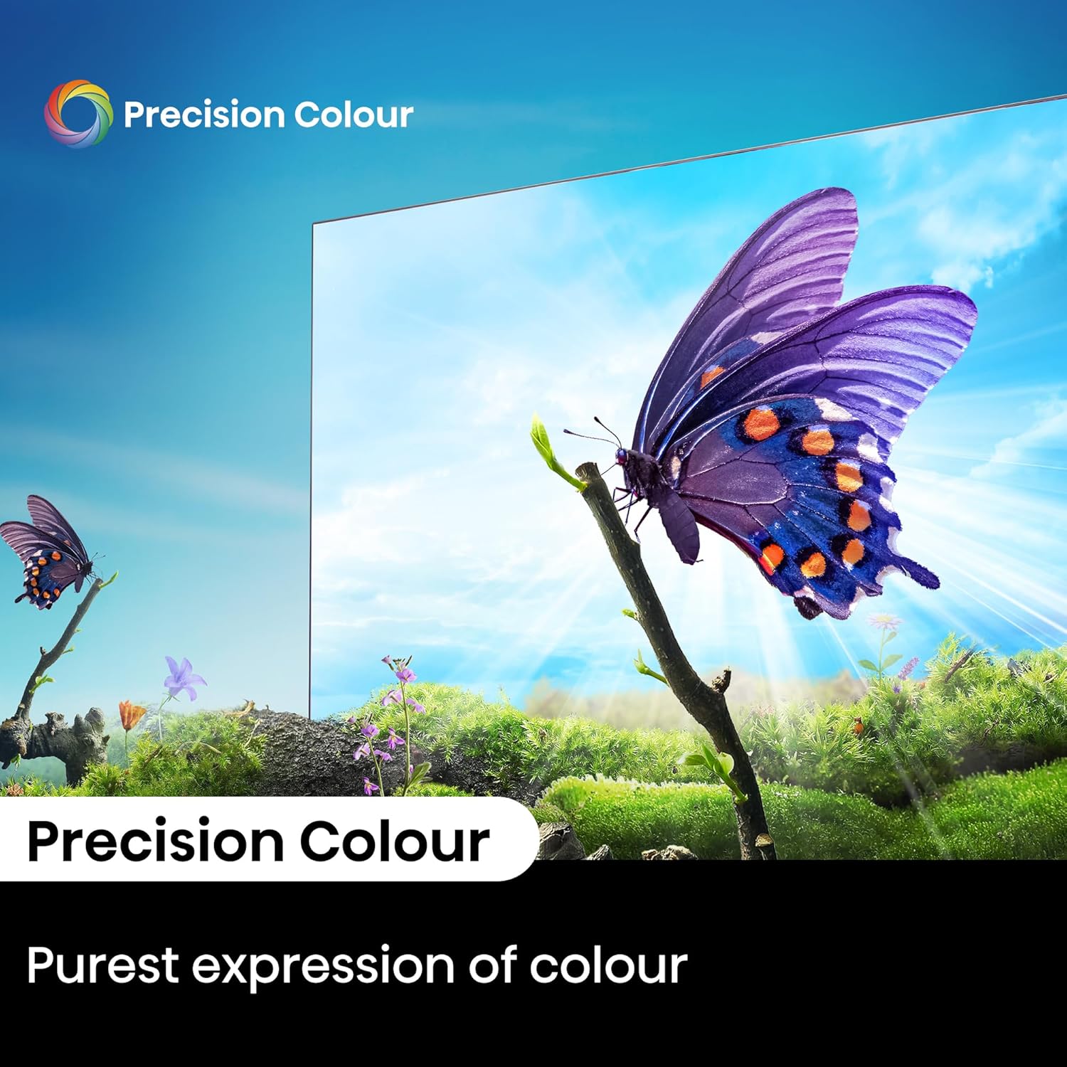#Hisense 146cm A6Q Series
