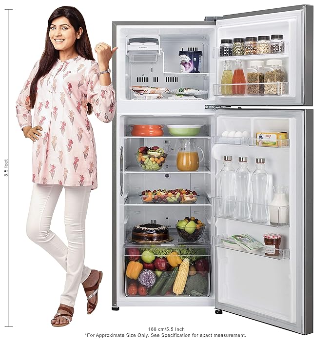 LG 291 L Frost Free Double Door 2 Star Refrigerator  (Shiny Steel- GL-C322KPZY)