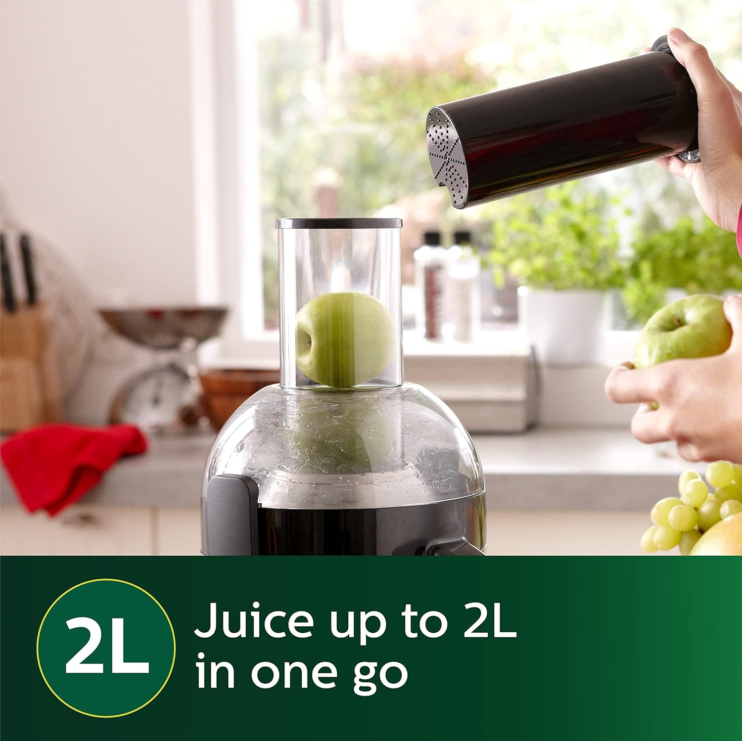 PHILIPS Hr1855 Viva Collection Juicer- Ink Black-700 Watts